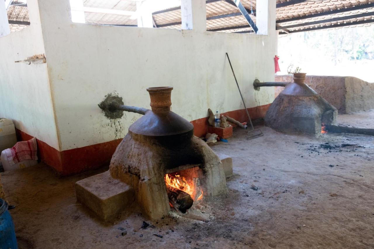 Mangaal Farmstay Goa Vichondrem Bagian luar foto