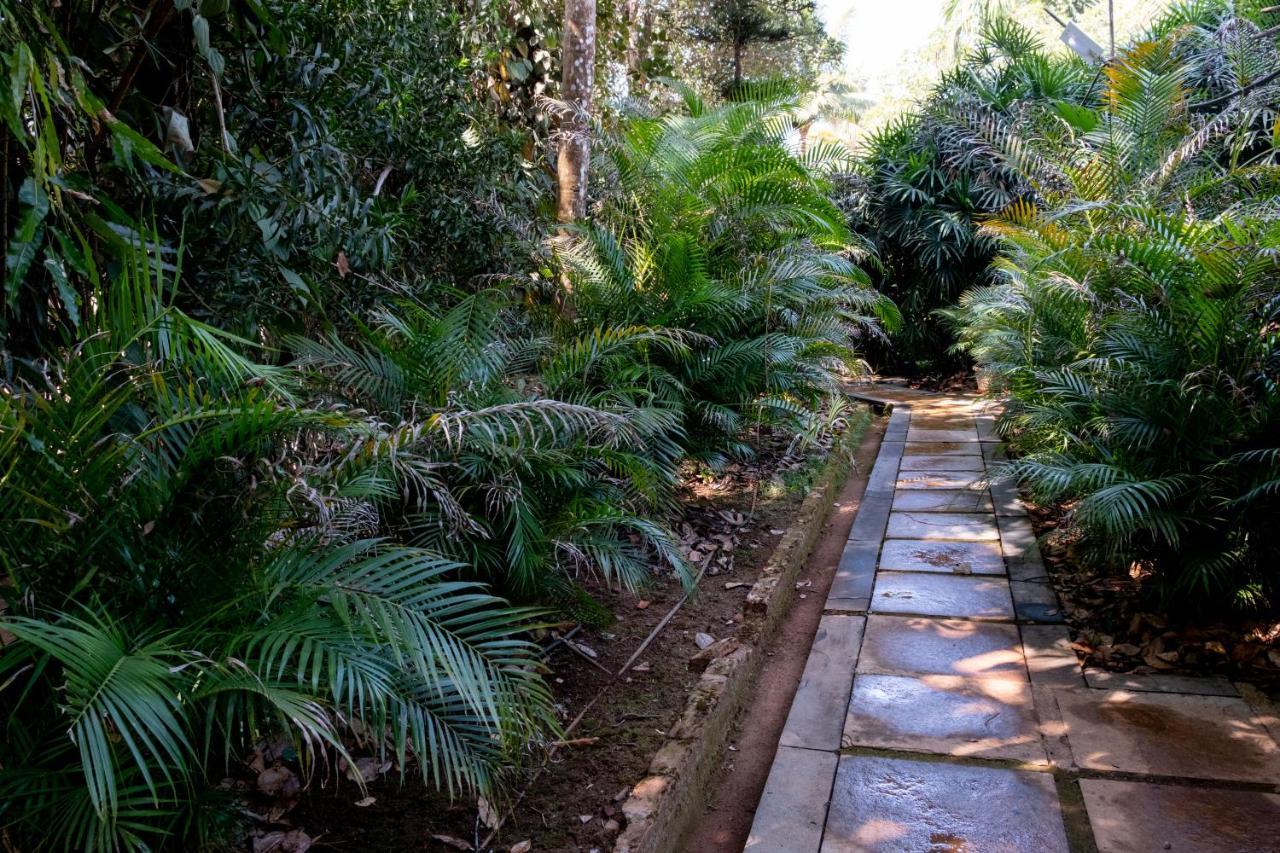 Mangaal Farmstay Goa Vichondrem Bagian luar foto