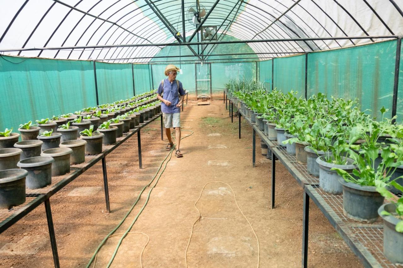 Mangaal Farmstay Goa Vichondrem Bagian luar foto