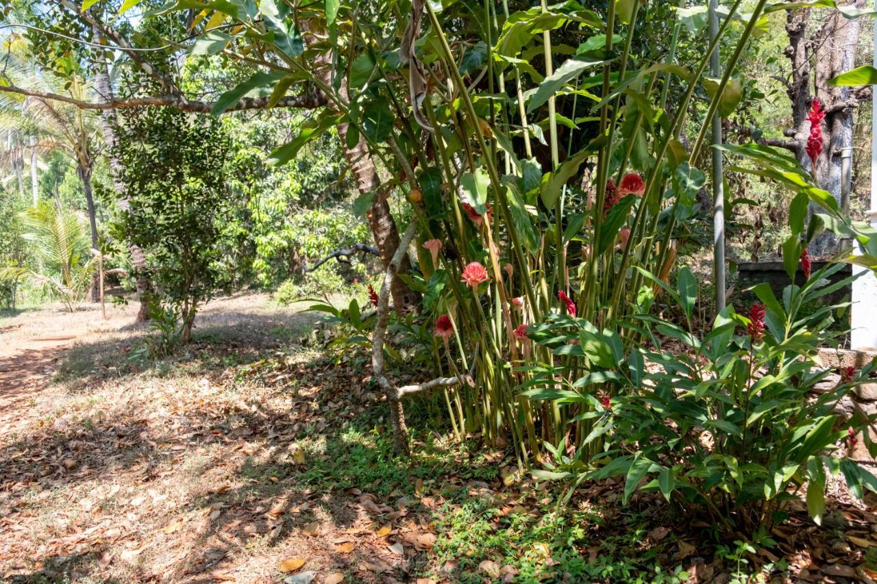 Mangaal Farmstay Goa Vichondrem Bagian luar foto