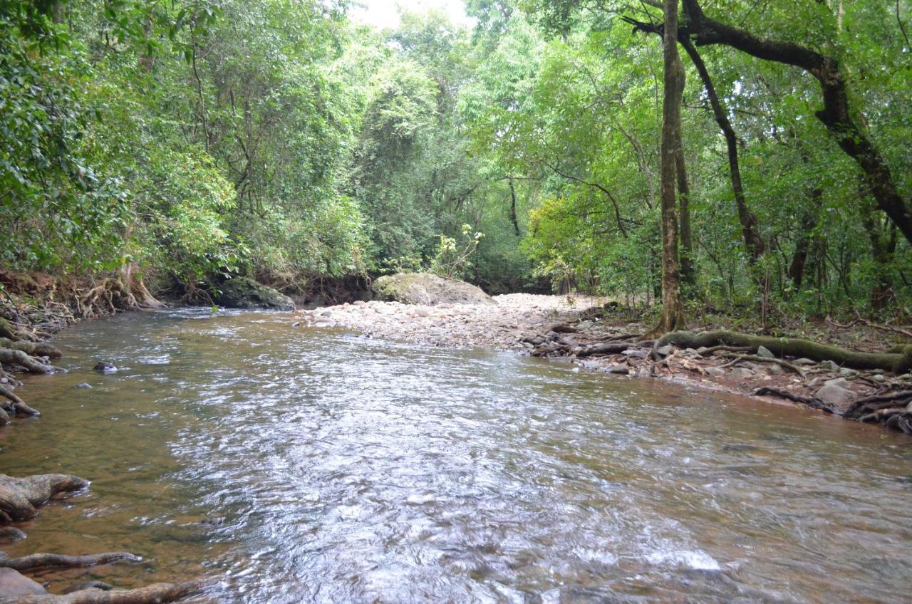 Mangaal Farmstay Goa Vichondrem Bagian luar foto
