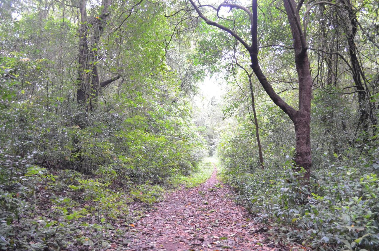 Mangaal Farmstay Goa Vichondrem Bagian luar foto