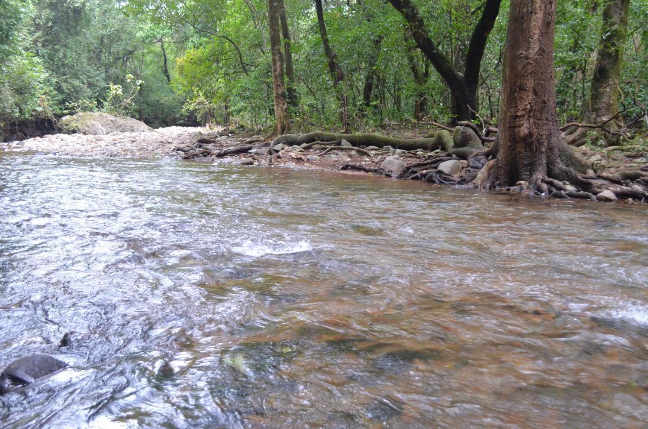Mangaal Farmstay Goa Vichondrem Bagian luar foto