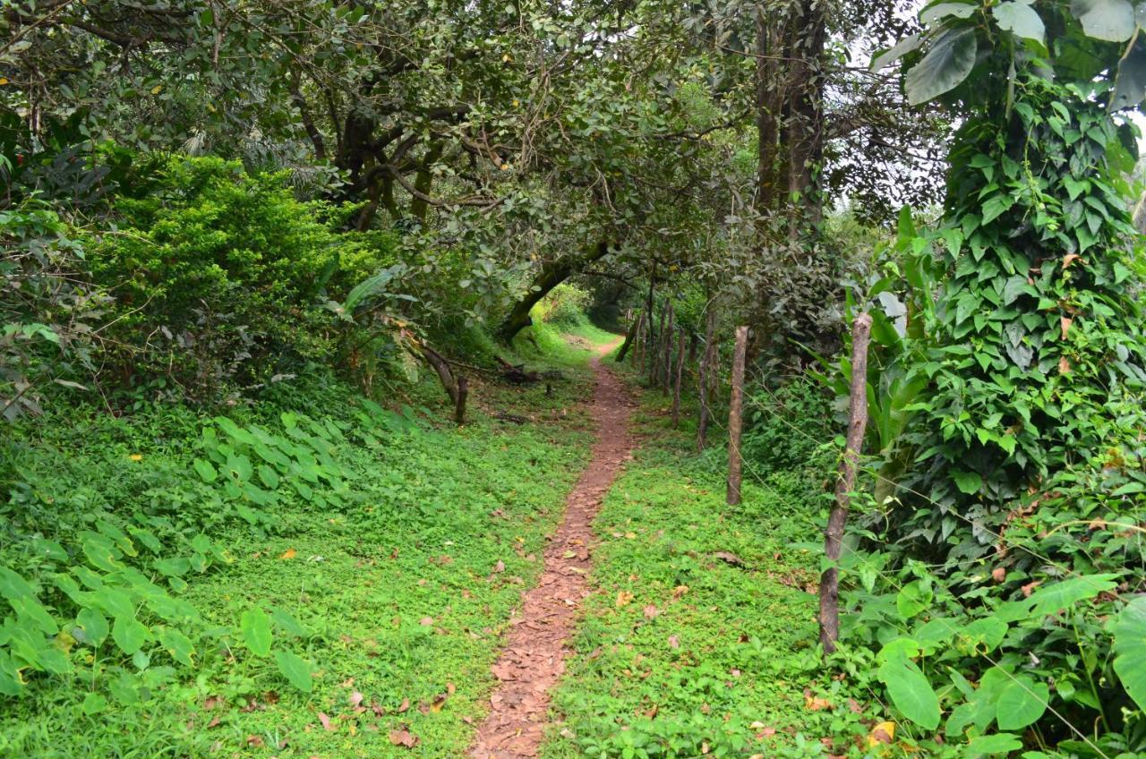 Mangaal Farmstay Goa Vichondrem Bagian luar foto